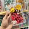 Mix Natural Real Dried Flower Box | Random - Image 10