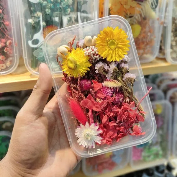Mix Natural Real Dried Flower Box | Random - Image 10