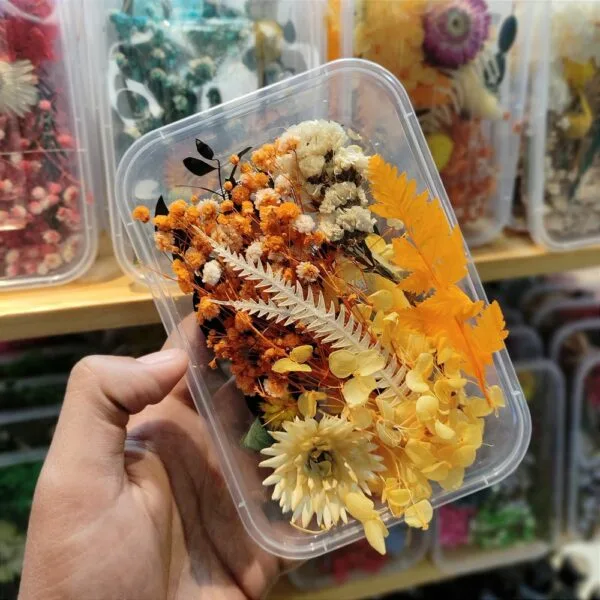 Mix Natural Real Dried Flower Box | Random - Image 11