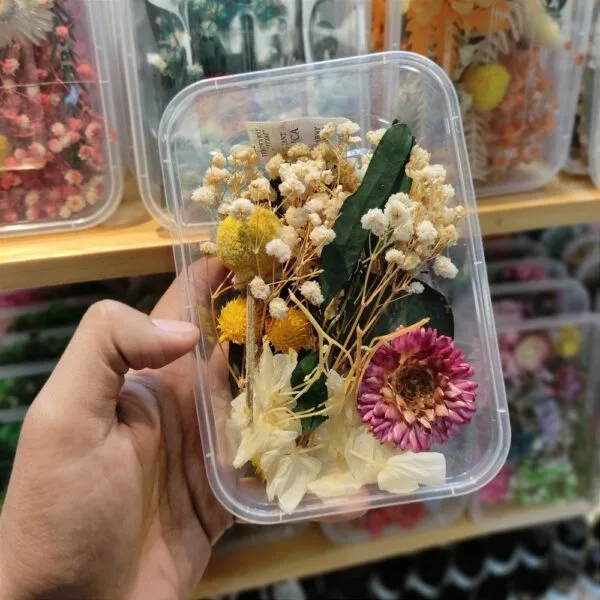 Mix Natural Real Dried Flower Box | Random - Image 8