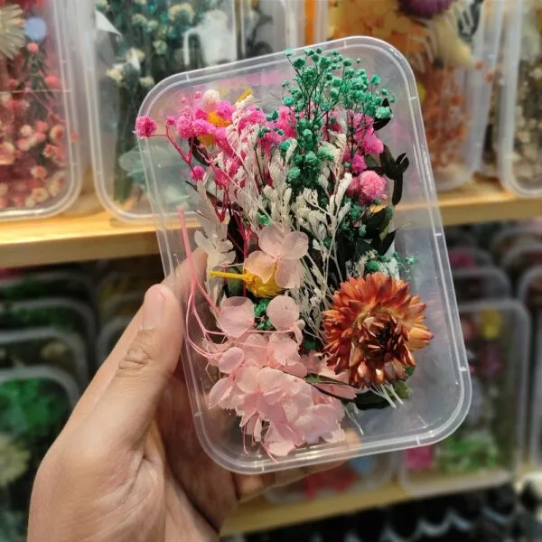 Mix Natural Real Dried Flower Box | Random - Image 5