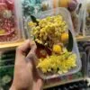 Mix Natural Real Dried Flower Box | Random - Image 7