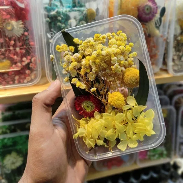 Mix Natural Real Dried Flower Box | Random - Image 7