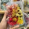 Mix Natural Real Dried Flower Box | Random - Image 4
