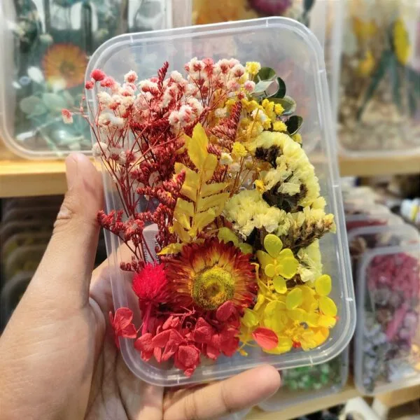 Mix Natural Real Dried Flower Box | Random - Image 4