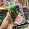 Mix Natural Real Dried Flower Box | Random - Image 3
