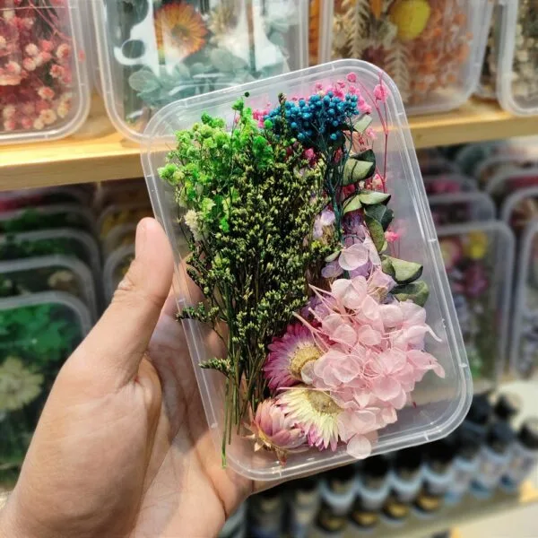 Mix Natural Real Dried Flower Box | Random - Image 3