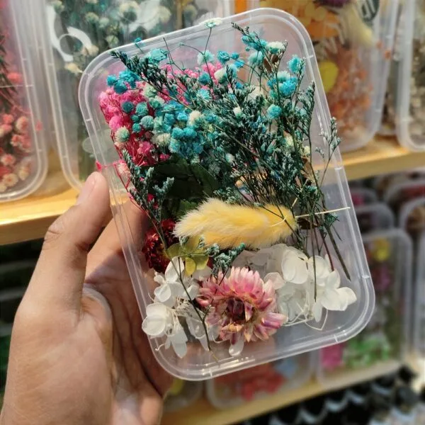 Mix Natural Real Dried Flower Box | Random - Image 20