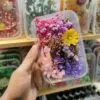 Mix Natural Real Dried Flower Box | Random - Image 19