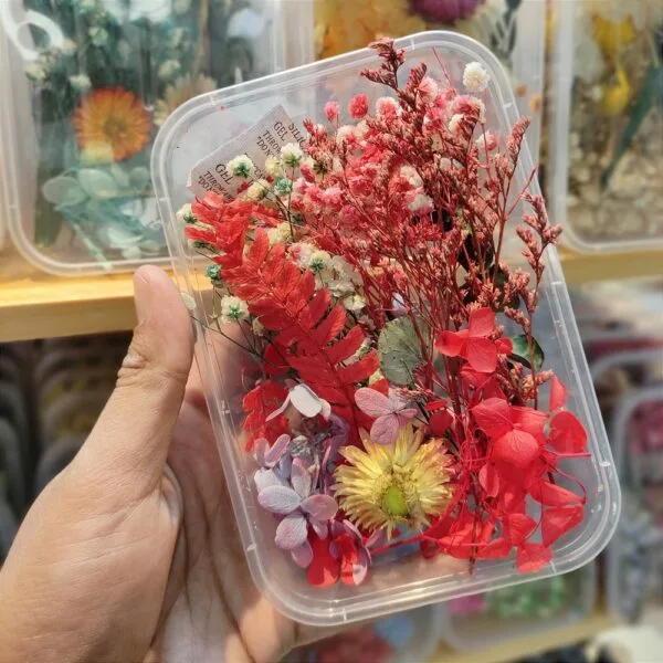 Mix Natural Real Dried Flower Box | Random - Image 17