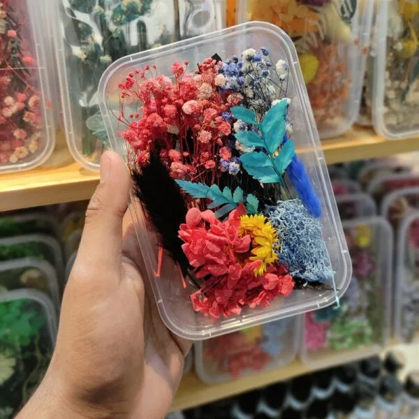 Mix Natural Real Dried Flower Box | Random - Image 15