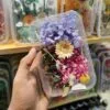 Mix Natural Real Dried Flower Box | Random - Image 14