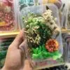 Mix Natural Real Dried Flower Box | Random - Image 12