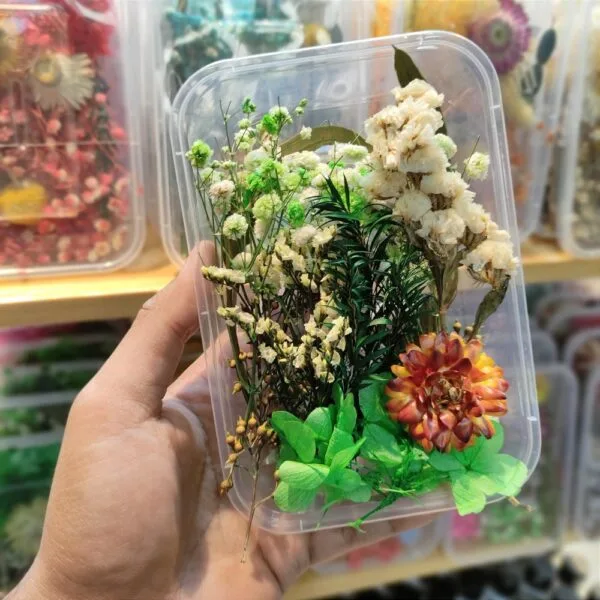 Mix Natural Real Dried Flower Box | Random - Image 12