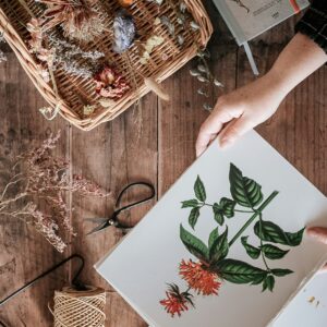 Dried Flowers