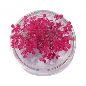 Natural Dried Flowers for Resin Jewelry Crafting | Dark Pink | Pack of 10