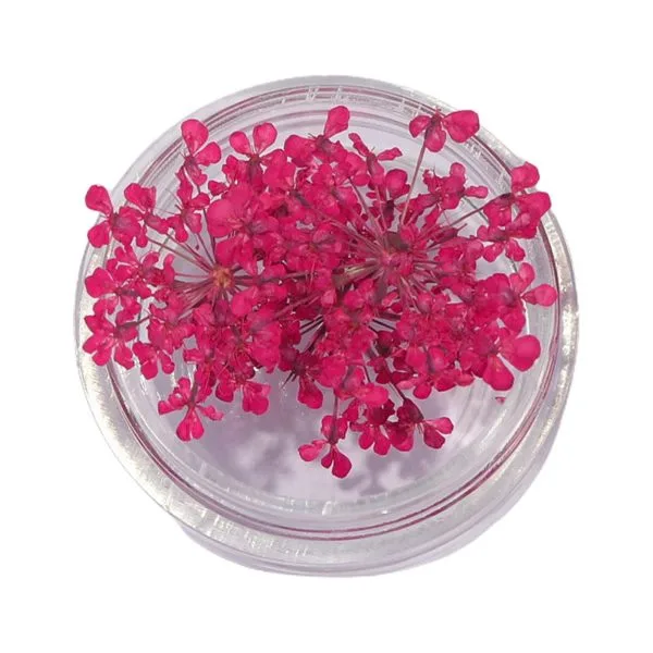 Natural Dried Flowers for Resin Jewelry Crafting | Dark Pink | Pack of 10