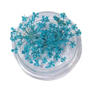 Natural Dried Flowers for Resin Jewelry Crafting | Lake Blue | Pack of 10