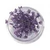 Natural Dried Flowers for Resin Jewelry Crafting | Light Purple | Pack of 10