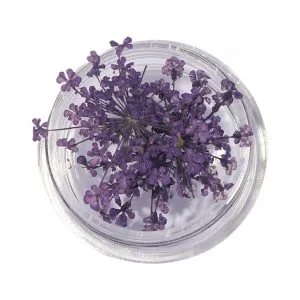 Natural Dried Flowers for Resin Jewelry Crafting | Light Purple | Pack of 10