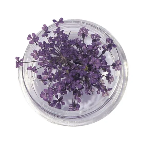 Natural Dried Flowers for Resin Jewelry Crafting | Light Purple | Pack of 10