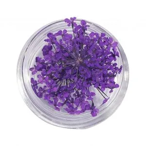 Natural Dried Flowers for Resin Jewelry Crafting | Dark Purple | Pack of 10