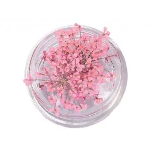 Natural Dried Flowers for Resin Jewelry Crafting | Light Pink | Pack of 10