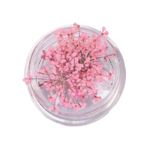 Natural Dried Flowers for Resin Jewelry Crafting | Light Pink | Pack of 10