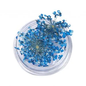 Natural Dried Flowers for Resin Jewelry Crafting | Royal Blue | Pack of 10