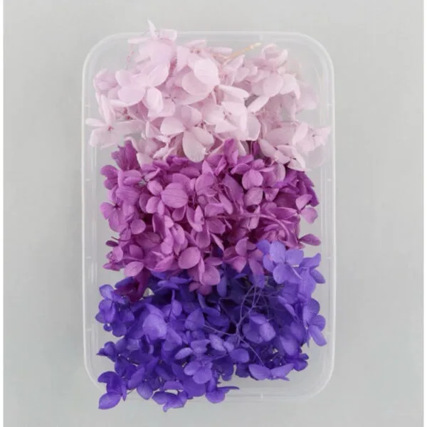 Preserved Hydrangea Flowers – Natural Dried Floral for Resin Art, Scrapbooking, DIY Journaling & Epoxy Crafts | Real Hortensia Petals - Image 6