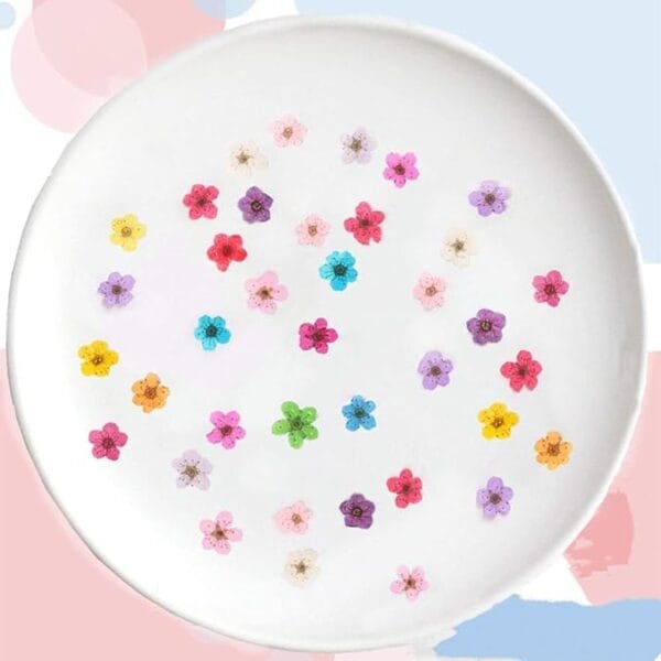 30 Pcs Little Plum Dried Flowers – Real Pressed Floral for Resin Art, Nail Art, Scrapbooking & DIY Crafts - Image 5
