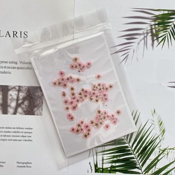 30 Pcs Little Plum Dried Flowers – Real Pressed Floral for Resin Art, Nail Art, Scrapbooking & DIY Crafts - Image 6