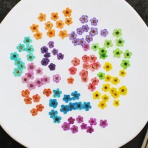 30 Pcs Little Plum Dried Flowers – Real Pressed Floral for Resin Art, Nail Art, Scrapbooking & DIY Crafts
