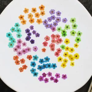 30 Pcs Little Plum Dried Flowers – Real Pressed Floral for Resin Art, Nail Art, Scrapbooking & DIY Crafts