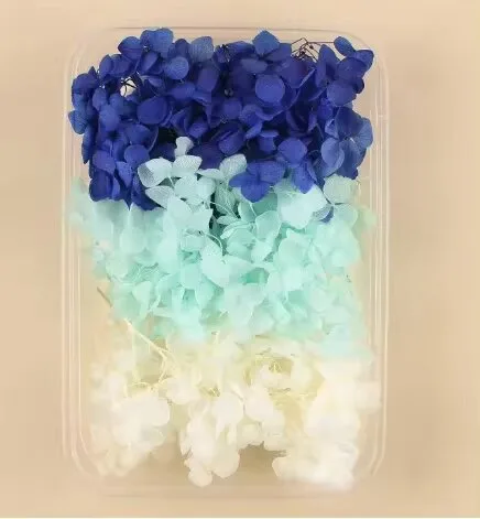 Preserved Hydrangea Flowers – Natural Dried Floral for Resin Art, Scrapbooking, DIY Journaling & Epoxy Crafts | Real Hortensia Petals - Image 8